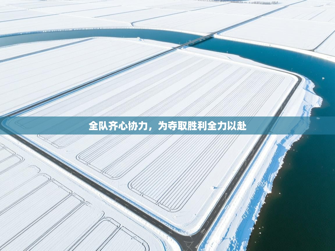全队齐心协力，为夺取胜利全力以赴
