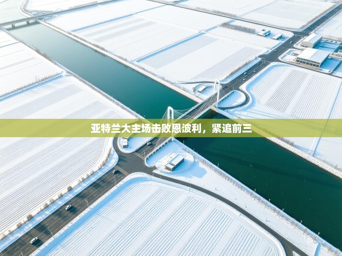 亚特兰大主场击败恩波利,紧追前三 第2张