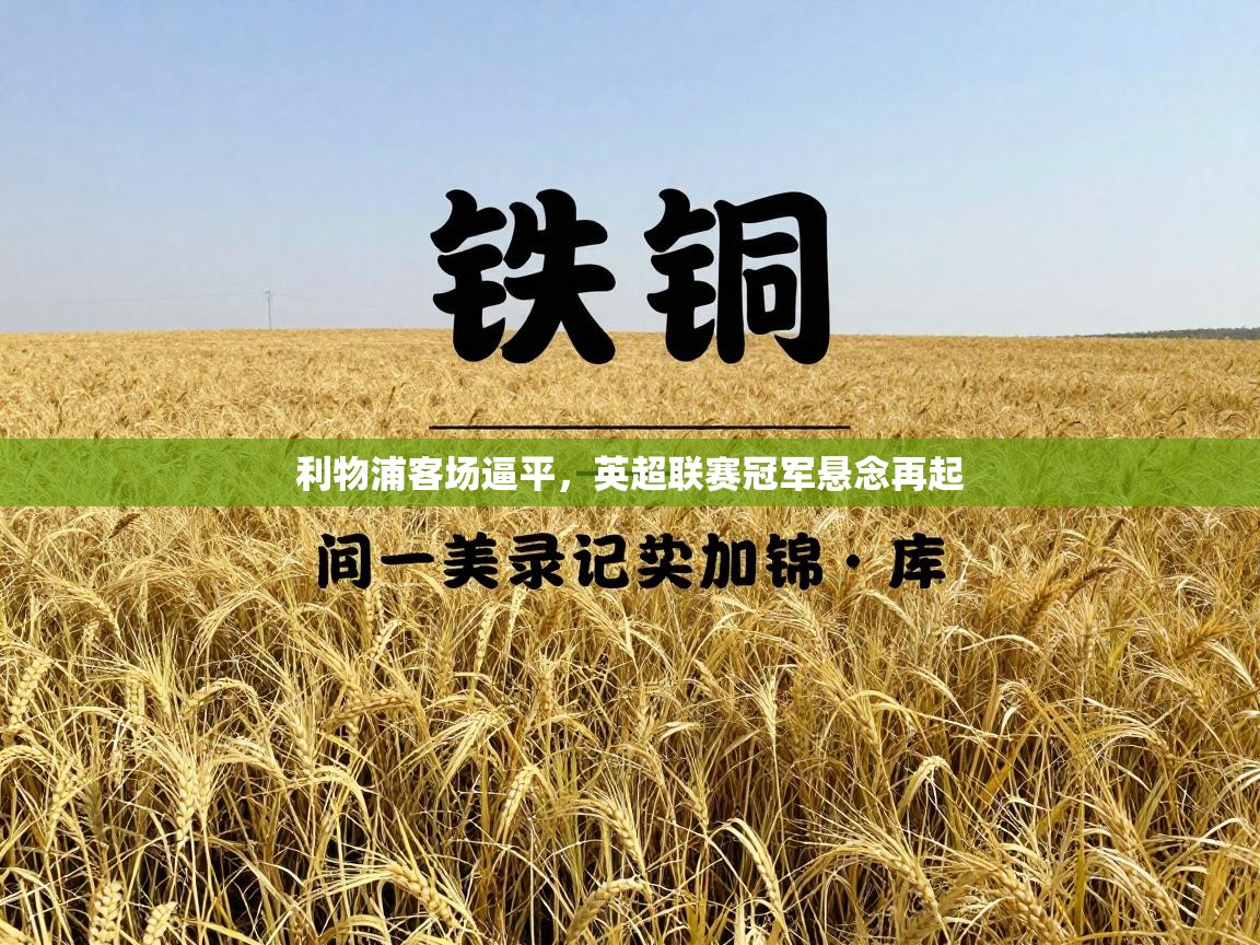 利物浦客场逼平,英超联赛冠军悬念再起 第2张